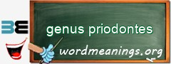 WordMeaning blackboard for genus priodontes